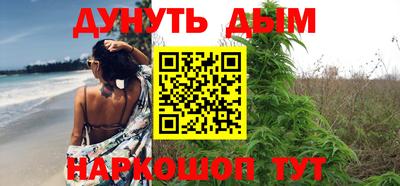индика Ставрополь