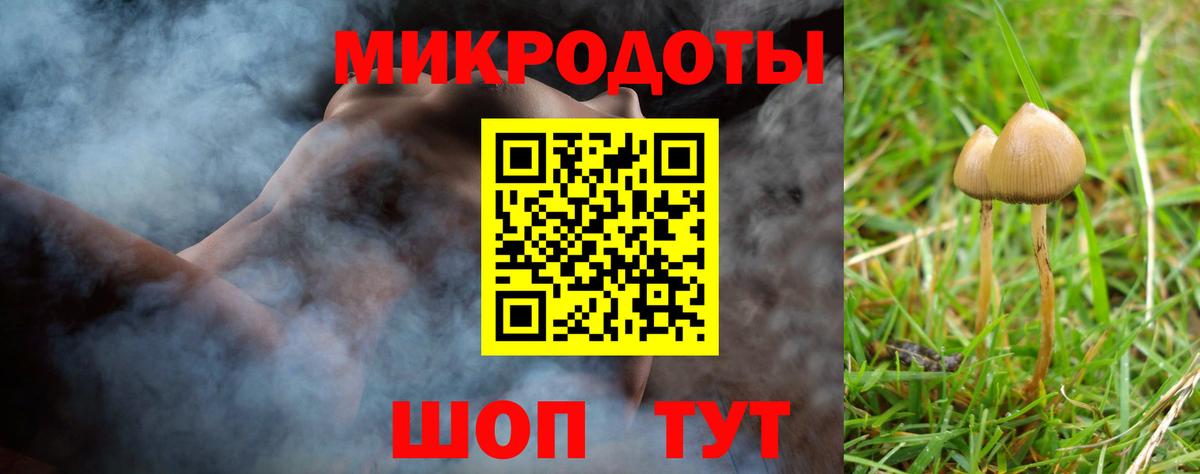 закладка  Галлюциногенные грибы Psilocybe  Вход с VPN  Полевской 